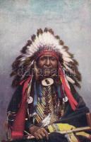Chief Black Chicken. Raphael Tuck & Sons Oilette Postcard No. 3495. Indian Chiefs