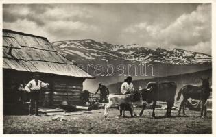 5 db RÉGI kárpátaljai városképes lap / 5 pre-1945 Carpathian Ukraine town-view postcards