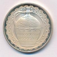 Csúcs Viktória (1934-1993) DN "Hódmezővásárhely Tanácsháza" Ag emlékérem  (16g/0.925/32mm)...