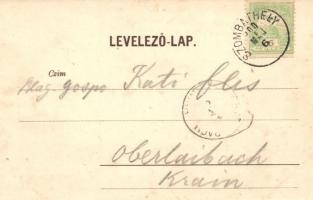 1900 Körmend, Vida József utca, József főherceg kir. fensége ittlétekor, defekt szerelés az autó mög...