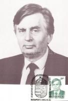 8 db MODERN motívumos képeslap: uralkodók, politikusok / 8 modern motive postcards: politicians, roy...