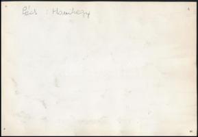 cca 1960 Pécs, Havihegy, fotónagyítás, hátulján feliratozva, 16,5×23,5 cm