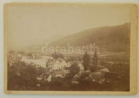 cca 1890 Lichtenwald keményhátú fotó / photo 17x10 cm