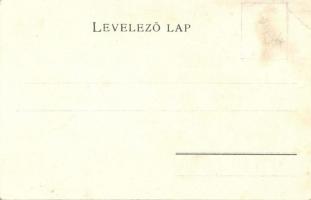 Budapest térképe címerrel (Szentendre és Csepel). Károlyi Gy. / Map of Budapest with coat of arms (v...