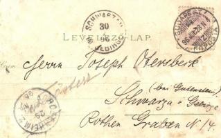 1896 (Vorläufer!) Budapest, Iparcsarnok, zsinagóga, bejárat az állatkertbe, városligeti szökőkút. Ca...