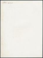 1972 Aszfaltozás a 68-as villamos mentén, fotó, hátulján feliratozva, 24×18 cm