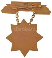 ~1950. "Állami Gazdaság Kiváló Dolgozója" Rákosi-címeres zománcozott Br kitüntetés tokban ...