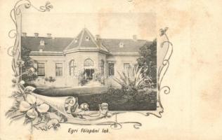 Eger, Főispáni lak. floral, Art Nouveau (vágott / cut)