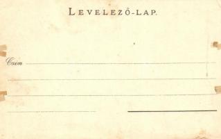 Eger, Főispáni lak. floral, Art Nouveau (vágott / cut)