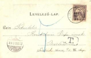 1900 Hajdúszoboszló, Református templom, hintó