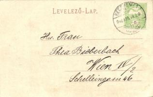 1916 Kecskemét, Gyümölcspiac, Sipos Miklós üzlete. kiadja Komor Gyula(EK)