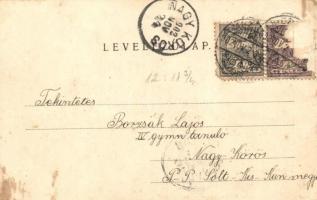 1902 Mezőtúr, Kossuth utca, Gettler Ignác kiadása  (Rb)