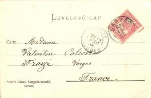 1906 Sárvár, Chardonnet selyemgyár. Kiadja Stranz János / Soirie (EK)