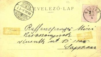 1899 Sárvár, vár, katolikus népiskola, római katolikus templom, takarékpénztár háza, hercegi uradalm...