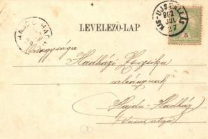 1902 Debrecen-Pallag, Pallag; M. kir. gazdasági tanintézet, cséplés gőzgéppel. Komáromi J. felvétele...