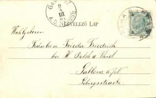 1904 Szombathely, Szent Márton utca, fatelep, felállványozott ház építés közben  (EK)