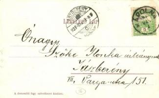 1908 Domoszló, Községháza, Iskola, üzlet. Kiadja a domoszlói fogy. szövetkezet (EK)