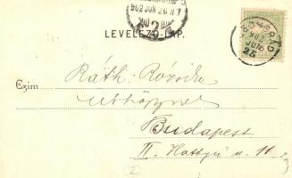 1902 Csongrád, Iskola, Magyar Király szálloda, Bloch Adolf üzlete, hintó. Kiadja Szilber János (EK)