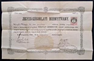 1886 Jegyző-szigorlati bizonyítvány. Szekszárd, Tolna megye. 46x31 cm Hajtásnyomokkal