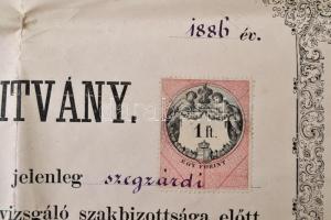 1886 Jegyző-szigorlati bizonyítvány. Szekszárd, Tolna megye. 46x31 cm Hajtásnyomokkal