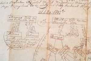 1842 A csikmádéfalvi Zöld család leszármazása. Kézzel rajzolt 48x40 cm