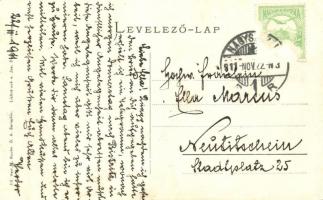 1911 Nagyszeben, Hermannstadt, Sibiu; Schewis utca, villák, villamos. Jos. Drotleff / Schewisgasse /...