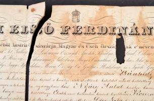 1846 Díszes, nagyméretű ügyvédi oklevél. Kettészakadva. 57x43 cm