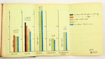 1938 Balneológiai és gyógyszerészeti kísérlet teljes dokumentációja. Egyetemi csoport összefoglaló m...
