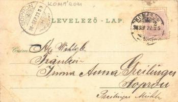 1898 Komárom, Komárno; Városház, vasúti híd, Igazságügyi palota, Tiszti pavilon, Klapka szobor, Eszt...