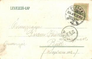 1904 Pozsony, Pressburg, Bratislava; Pozsonyi Patkó reklámlap. pozsonyi kiflis litho üdvözlőlap. Bed...