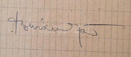 Aranycsapat tagjainak (Puskás Ferenc, Hidegkuti Nándor, Kocsis Sándor, Budai László, Grosits Gyula, ...