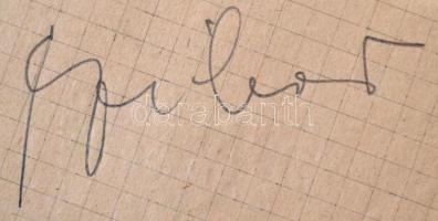 Aranycsapat tagjainak (Puskás Ferenc, Hidegkuti Nándor, Kocsis Sándor, Budai László, Grosits Gyula, ...