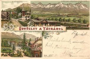 1897 (Vorläufer!) Tátra, Ótátrafüred, Központi Kárpátok Poprád felől, Alsó-Tátrafüred / Fatransko-tatranská oblast, Stary Smokovec, Dolny Smokovec. E. Benigny No. 368. floral, litho