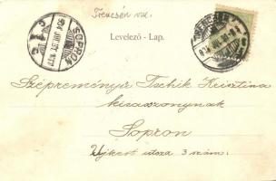 1904 Trencsénteplic, Trencianske Teplice; Szécsényi (Széchenyi) utca, üzlet / street view, shop