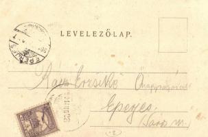 1901 Gönc, Károlyi Gáspár szobor