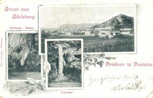 1899 Postojna, Adelsberg; Vorhang, Zastor, Cipresse / karst cave interior. floral (EK)