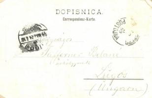 1899 Postojna, Adelsberg; Vorhang, Zastor, Cipresse / karst cave interior. floral (EK)