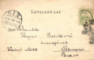 1904 Borszék-fürdő, Borsec; Lázár és Ó-Sáros fürdő / spas (EM)