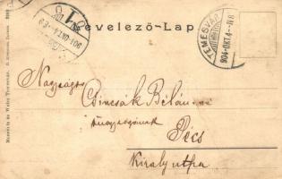 1904 Temesvár, Timisoara; Andrássy út, villamos / street view with tram (EK)