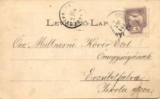 1901 Dicsőszentmárton, Tarnaveni, Diciosanmartin; utcakép. Jeremiás Áron kiadása / street view (EK)