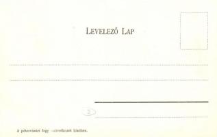 Pétervására, Fő utca, üzlet. A pétervásári fogy. szövetkezet kiadása