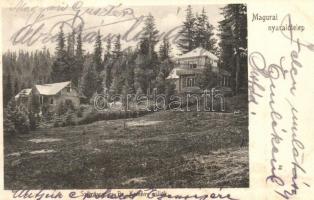 1905 Szamosfő, Maguri; Magurai nyaralótelep, Szilvássy és Br. Kemény villa / holiday resort, villas
