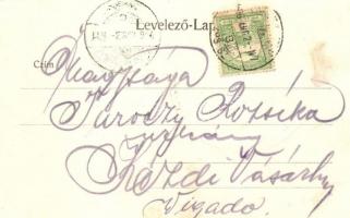 1905 Szamosfő, Maguri; Magurai nyaralótelep, Szilvássy és Br. Kemény villa / holiday resort, villas