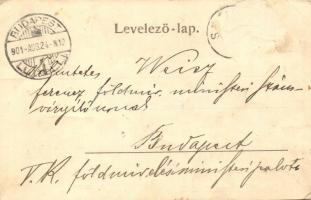1901 Szováta-fürdő, Sovata; sósfürdő. Weimich S. fényképész felvétele / salt spa (Rb)