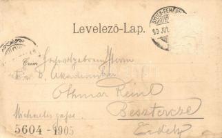 1899 Gyulafehérvár, Karlsburg, Alba Iulia; Országos vásár, Novák Ferenc tér, Atelier Bach kiadása / ...