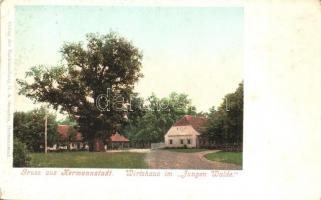 Nagyszeben, Hermannstadt, Sibiu; Erdei vendéglő / Wirtshaus im Jungen Walde / Restaurant in Padurea Dumbrava (EK)