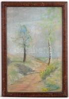 Iványi jelzéssel: Fák az út mellett. Pasztell, papír, foltos, üvegezett keretben, 48×32 cm