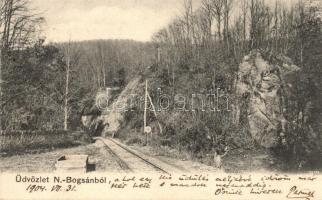 1904 Boksánbánya, Németbogsán, Bocsa; erdei vasútvonal / forest railway