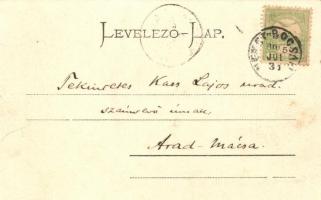 1904 Boksánbánya, Németbogsán, Bocsa; erdei vasútvonal / forest railway