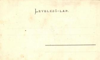 Nagyenyed, Aiud; Bethlen kollégium. Fenichel Lázár kiadása / boarding school (EB)